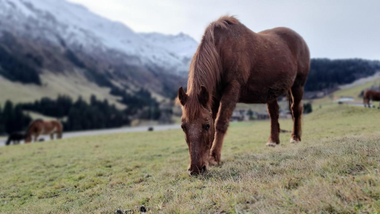 Yeti Lodge Sedrun Kültér fotó