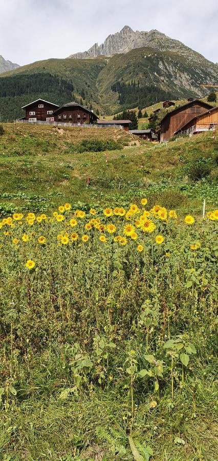 Yeti Lodge Sedrun Kültér fotó