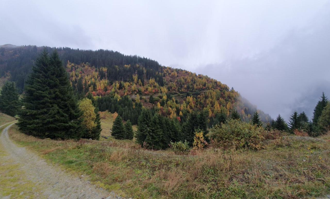 Yeti Lodge Sedrun Kültér fotó