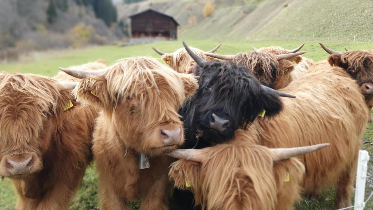 Yeti Lodge Sedrun Kültér fotó